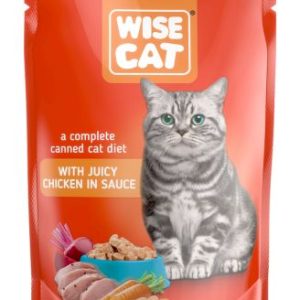 Adult Juicy Chicken in sauce