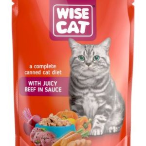 Adult Juicy Beef in sauce