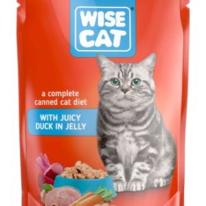 Adult Juicy Duck in jelly