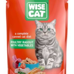 Adult Poultry ragout with vegetables